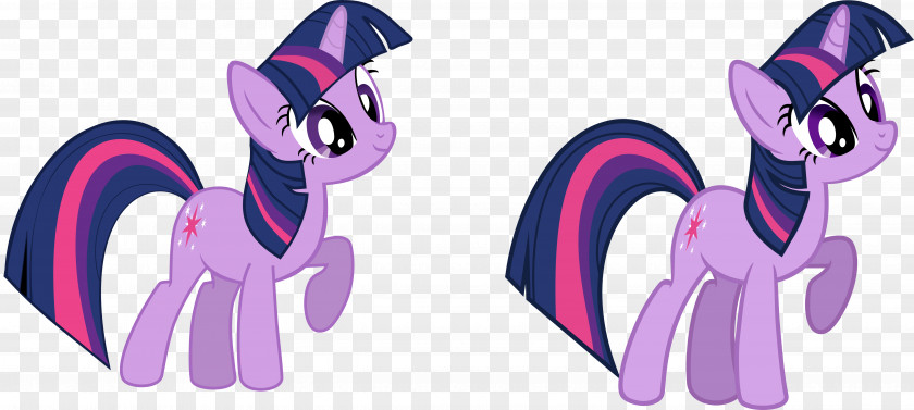 My Little Pony Twilight Sparkle Rainbow Dash Pinkie Pie Winged Unicorn PNG