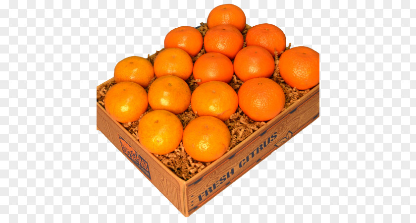 Orange Clementine Tangerine Palm Beach Groves Mandarin Tangelo PNG