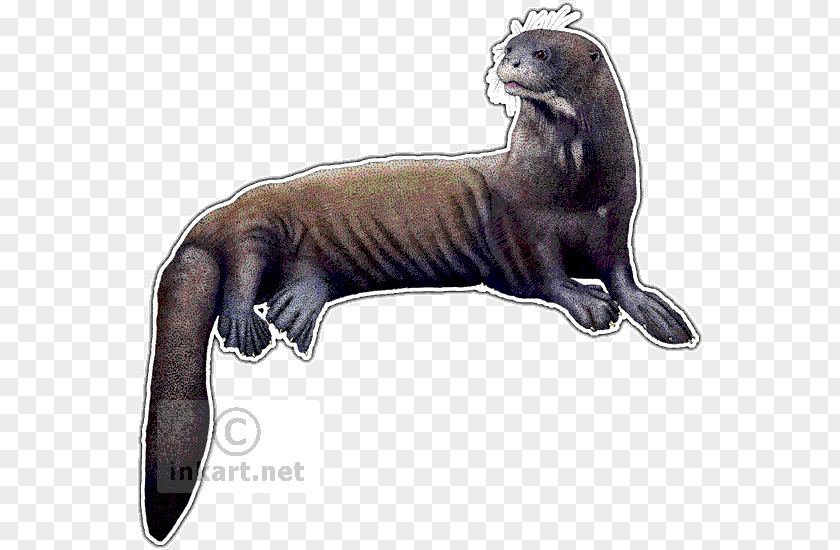 Otter Sea Weasels Giant Drawing PNG