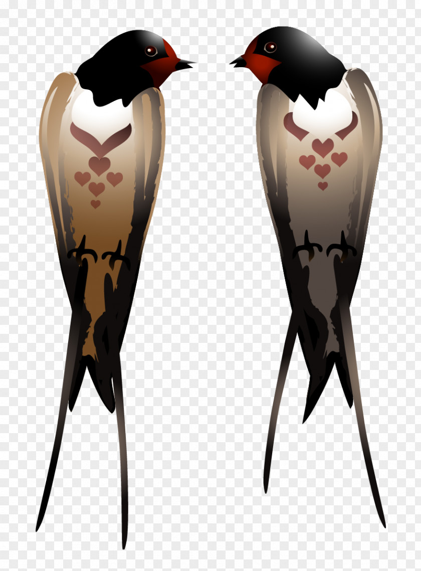 Swallows Clipart Swallow Clip Art PNG