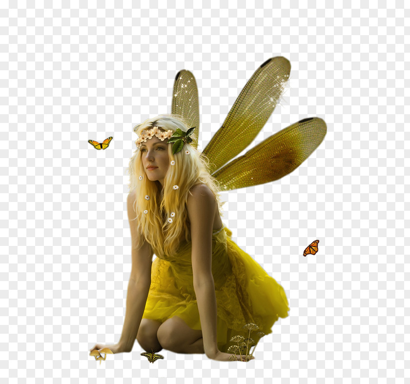 Week End Fairy Elf Fantasy Pixie Drawing PNG