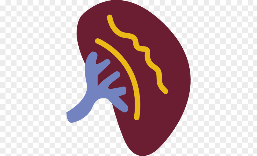 Diseases Icon PNG