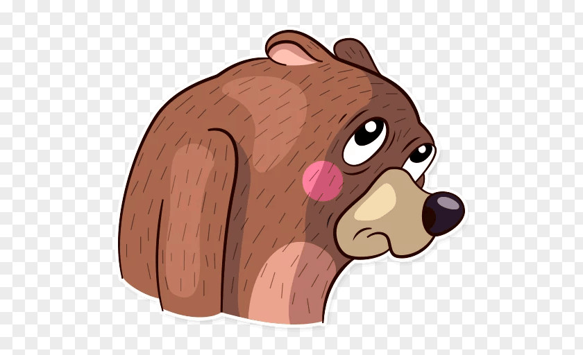 Dog Bear Beaver Snout PNG