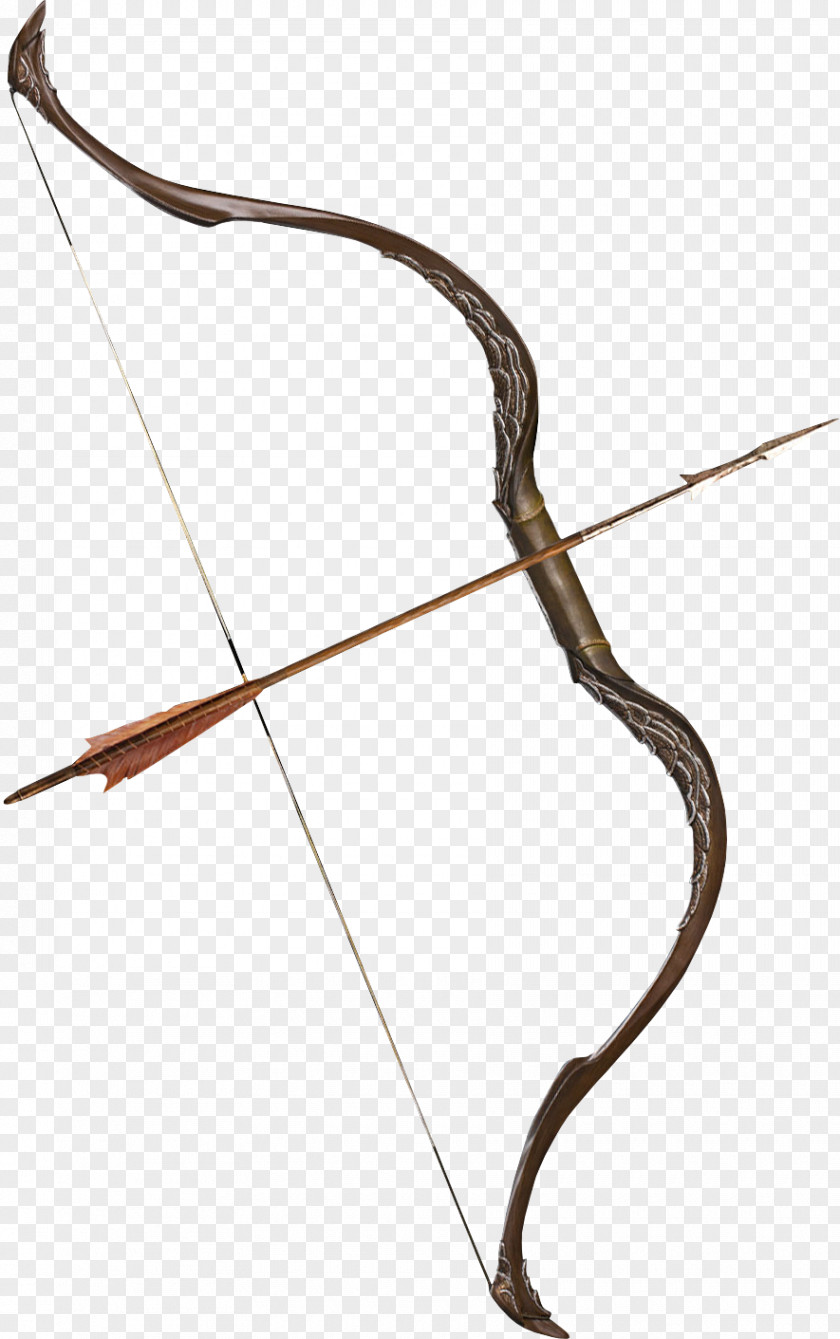 Elf Tauriel Bow And Arrow Thranduil The Annotated Hobbit PNG