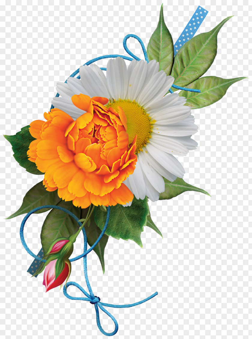 Flower Floral Design Silhouette PNG