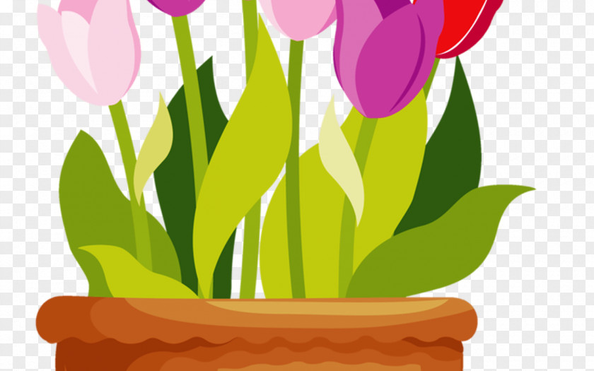 Houseplant Wildflower Flower Pot Drawing PNG