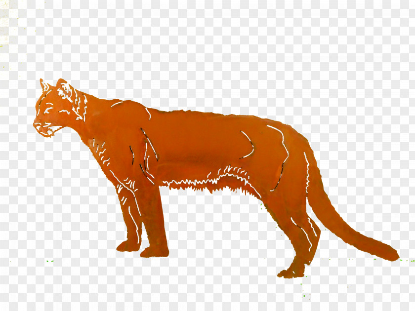 Dog Big Cat Terrestrial Animal Puma PNG