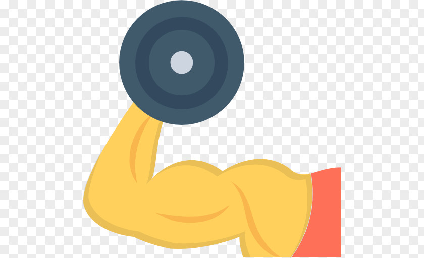 Dumbbell Weight Training Fitness Centre PNG