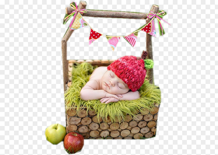 Infant Food Gift Baskets Advertising 0 PNG