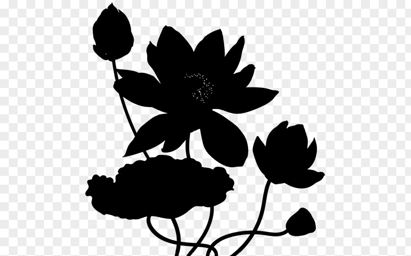 Rose Family Leaf Floral Design PNG