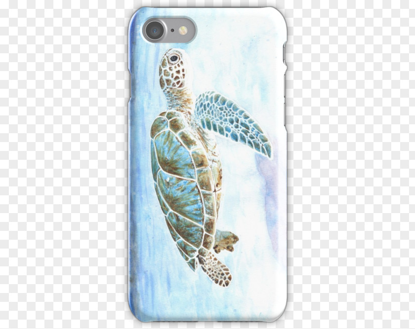 Turtle Sea IPhone 6 Plus Samsung Galaxy S5 PNG