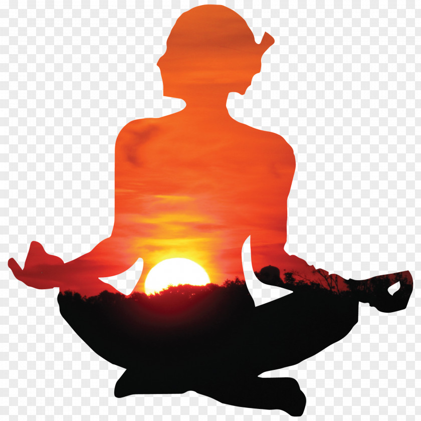 Yoga Sarvangasana Meditation Surya Namaskara PNG