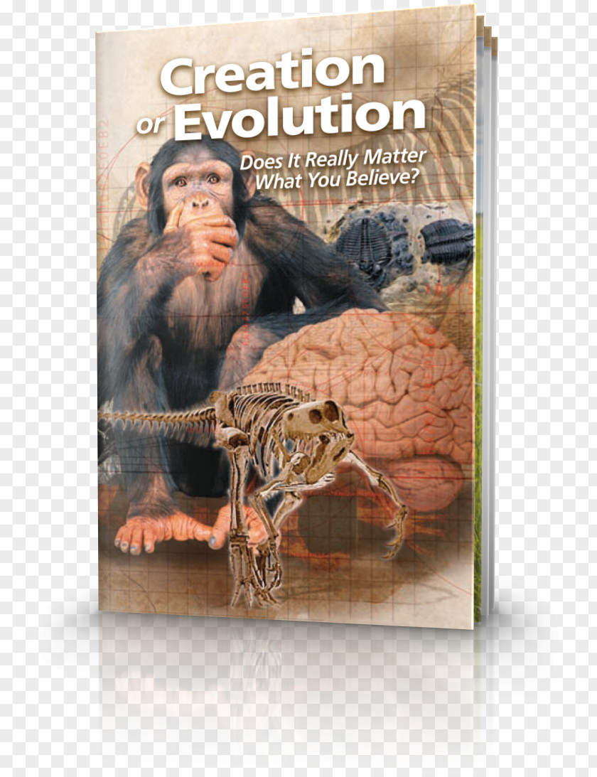 Adam Eve Creation Or Evolution: Does It Really Matter What You Believe Charles Darwin Creation–evolution Controversy Science PNG