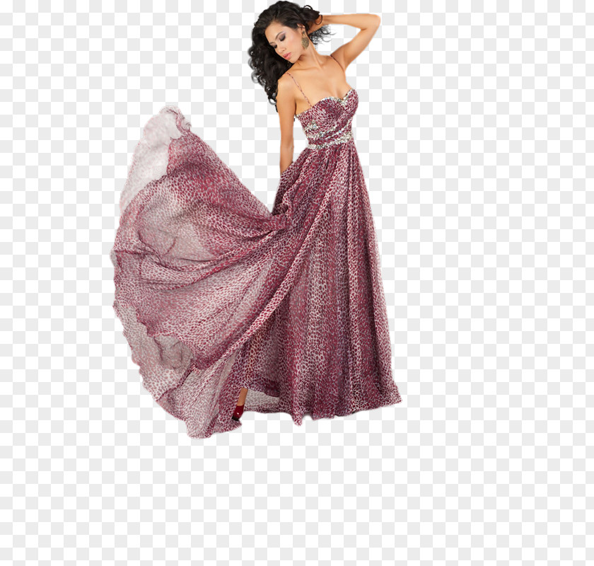 Angola Frame Miss Universe 2011 Beauty Pageant Costume Image Evening Gown PNG