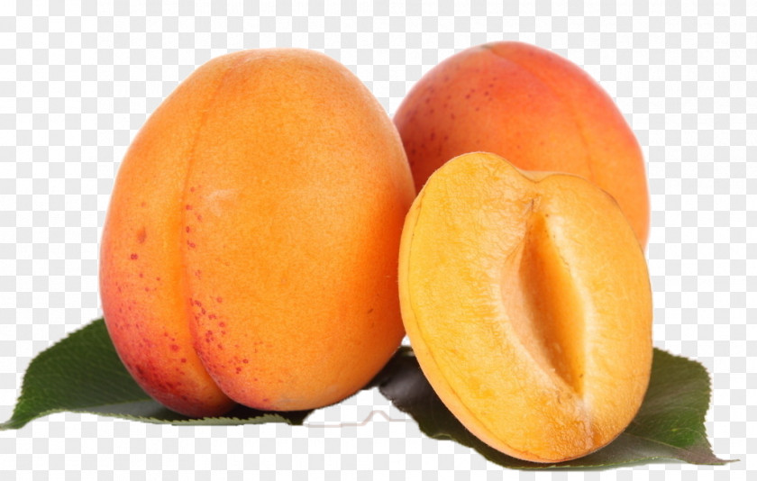 Apricots Apricot Juice Girlfriend Food PNG