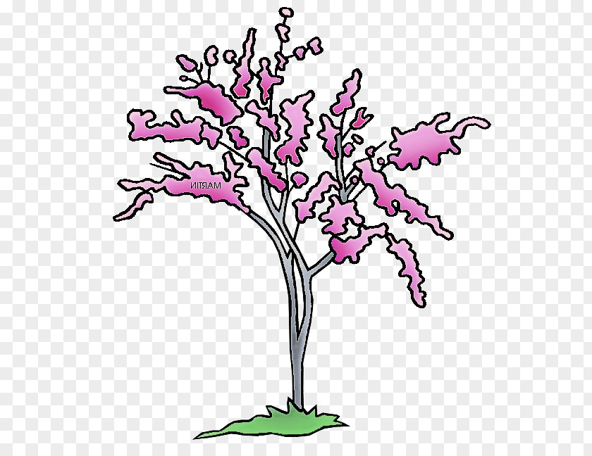 Branch Tree Plant Pink Flower PNG