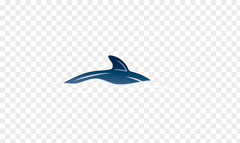 Dolphin Operating System Icon PNG