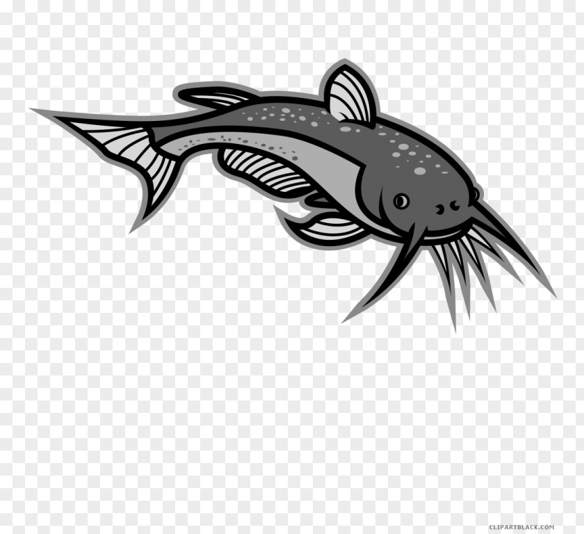 Flathead Catfish Clip Art Illustration Vector Graphics Free Content Royalty-free PNG
