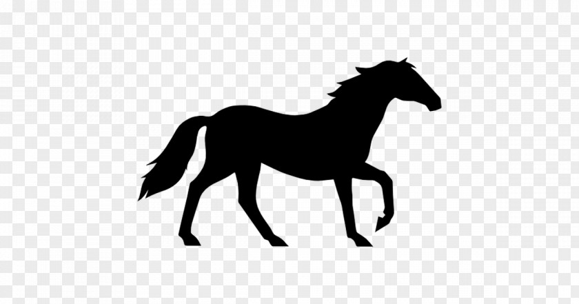 Mustang Equestrian Clip Art PNG