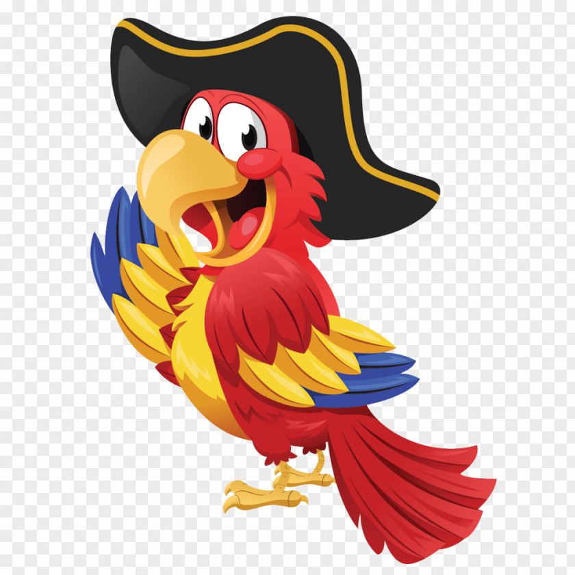 Parrot Pirate Bird Image PNG
