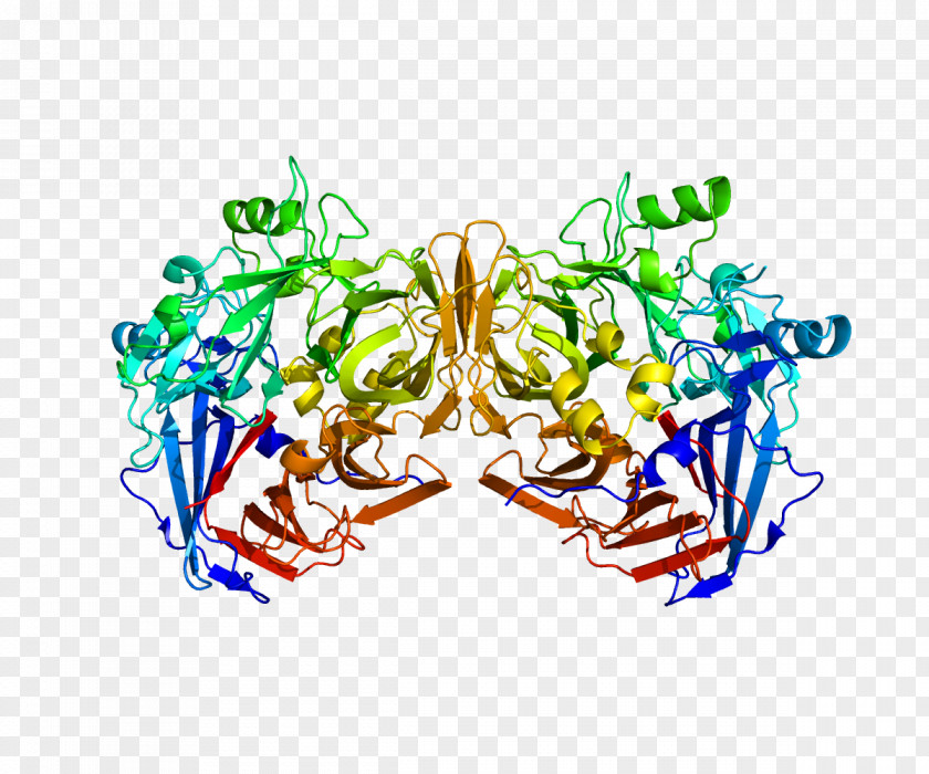 Therapy RPE65 Retinal Pigment Epithelium Visual Phototransduction Protein PNG