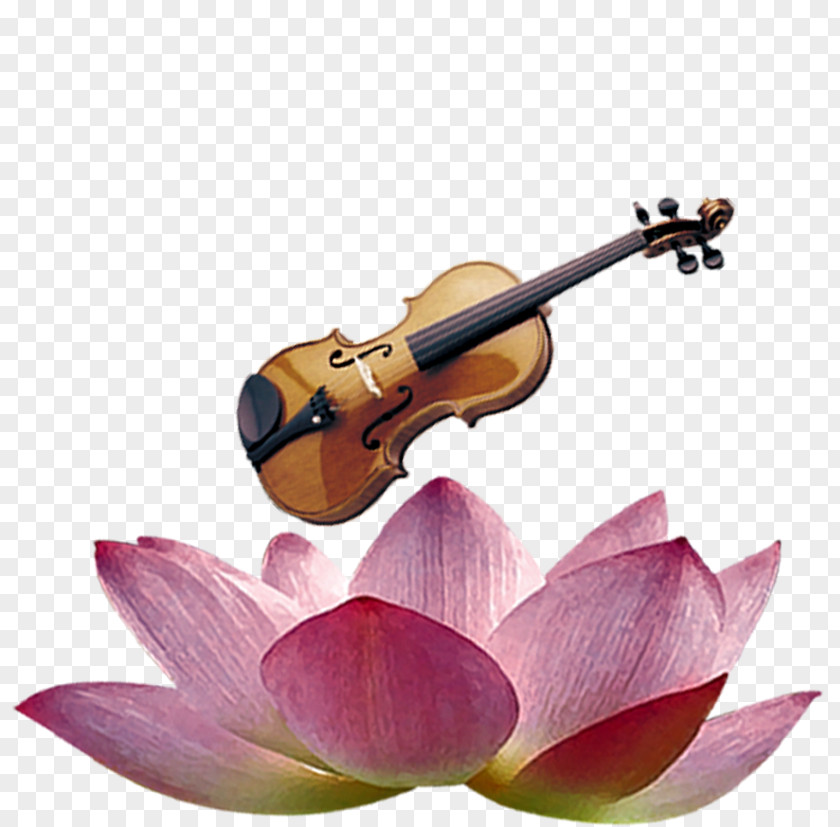 Violin Material Download Cello Viola PNG