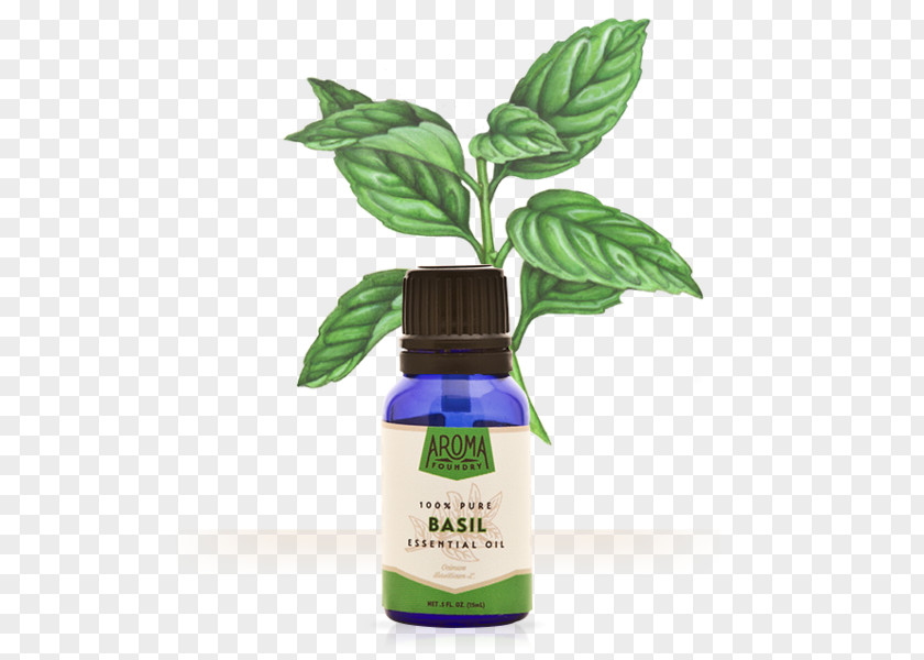 Basil Essential Oil Herb Aroma Compound PNG