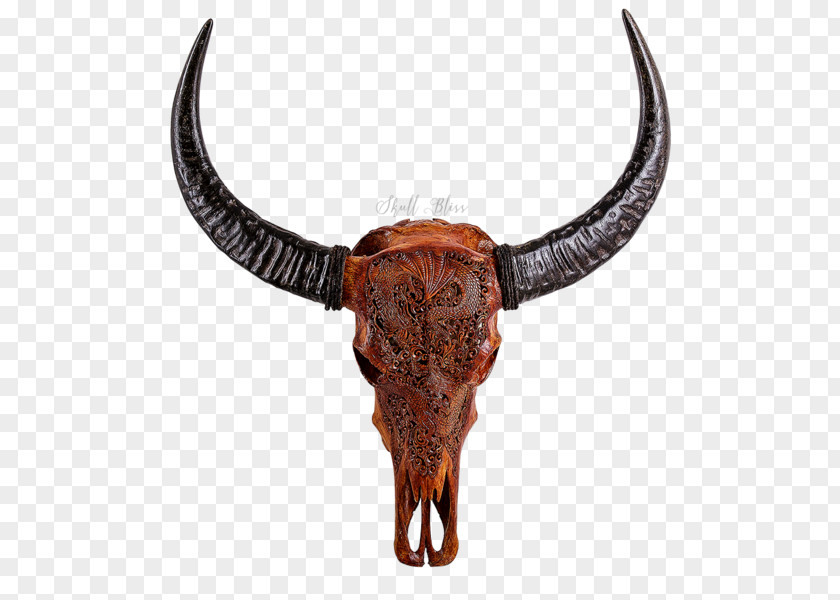 Buffalo Skull Texas Longhorn English Antique PNG