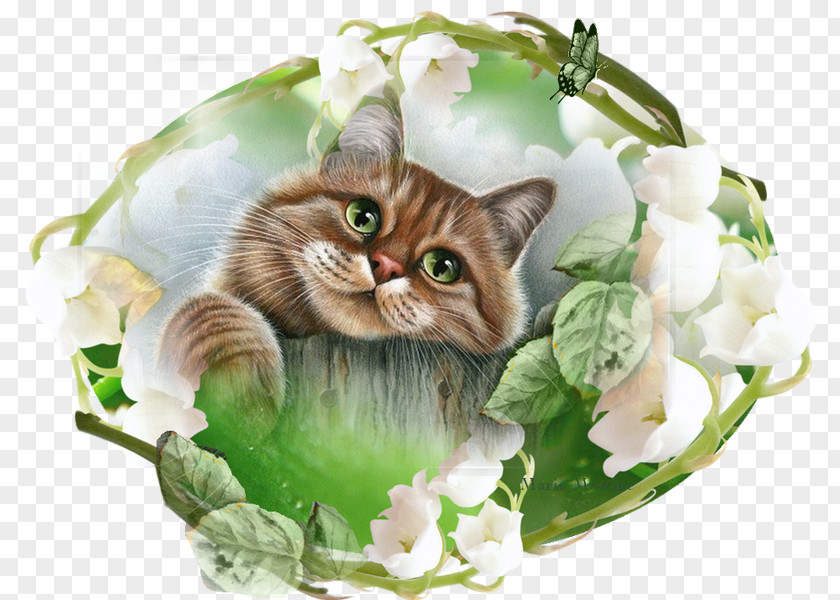Cat Kitten Embroidery Painting Cross-stitch PNG