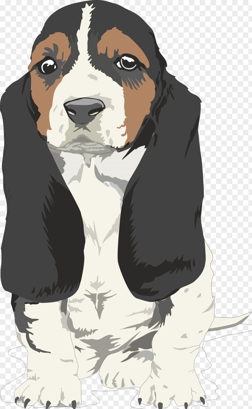 Dog Beagle Bulldog Puppy Border Terrier Cat PNG