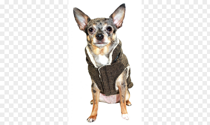 Herringbone Dog Breed Chihuahua Companion Bodywarmer Gilets PNG