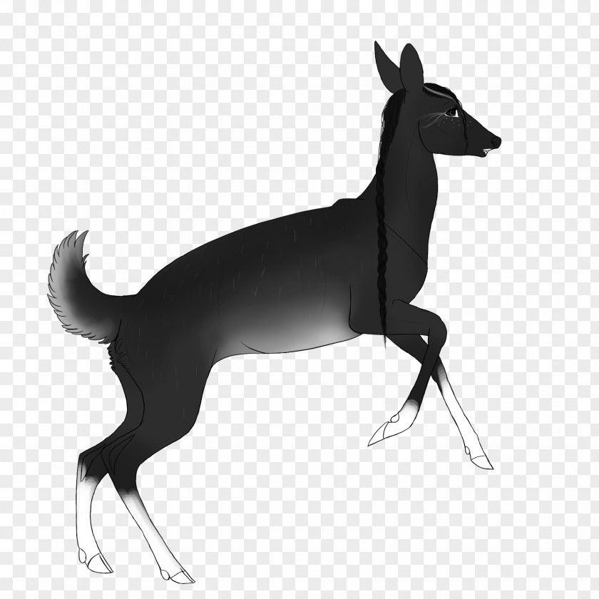 Horse Italian Greyhound Dog Breed Macropodidae PNG