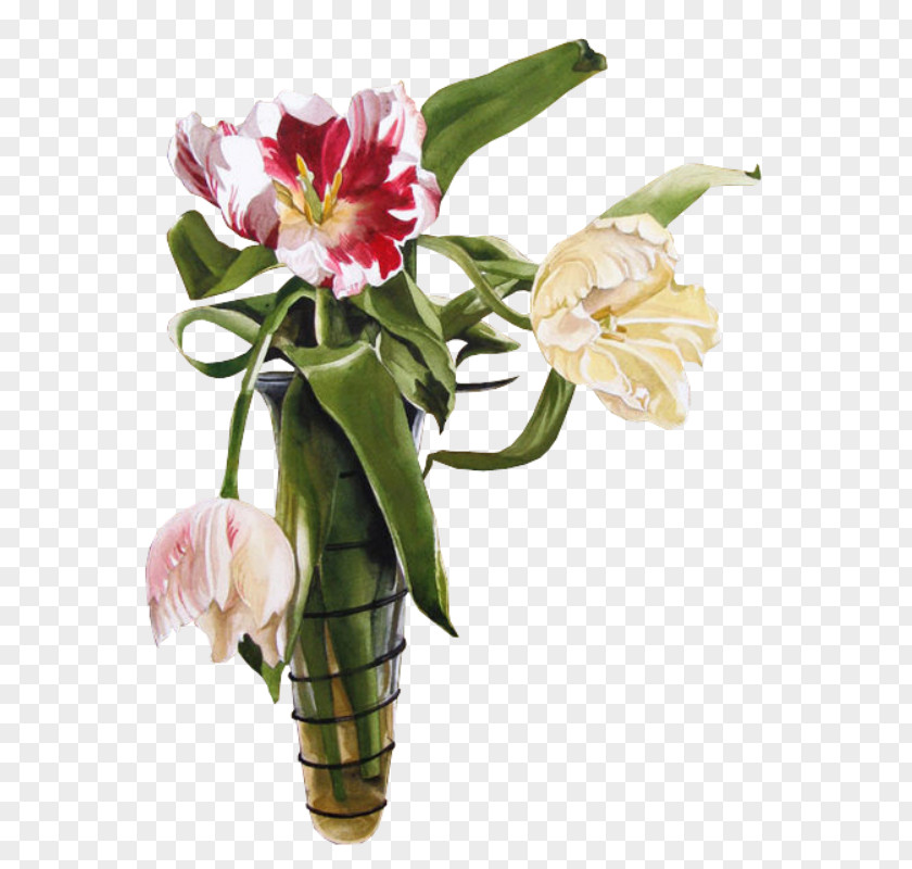 Flower Floral Design Cut Flowers Bouquet Lily Of The Incas PNG
