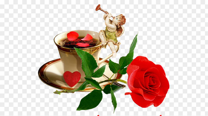 Rose Tea Animation Download Blog PNG