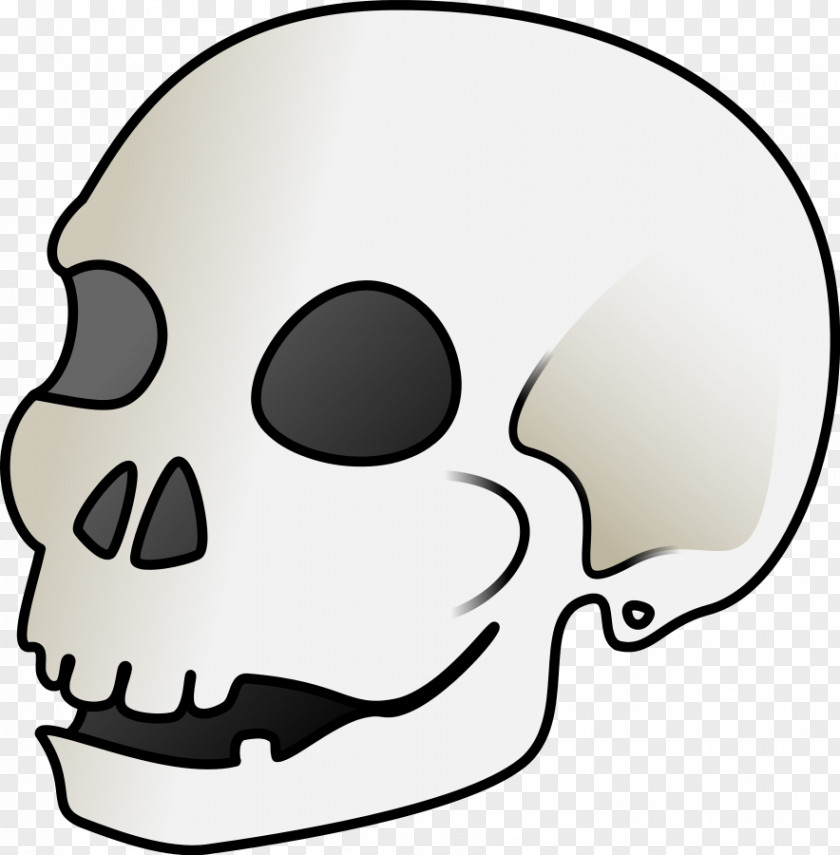 Skulls Human Skull Symbolism Art Clip PNG