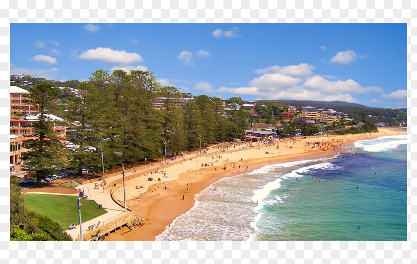 Surf Beach Central Coast Terrigal North Avoca PNG