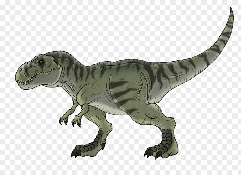 Tyrannosaurus Spinosaurus Velociraptor Triceratops Giganotosaurus PNG