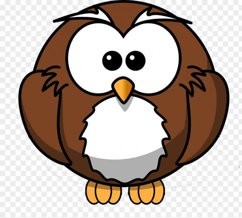 Cartoon Cute Owl Vector Material Free Download Animation Clip Art PNG
