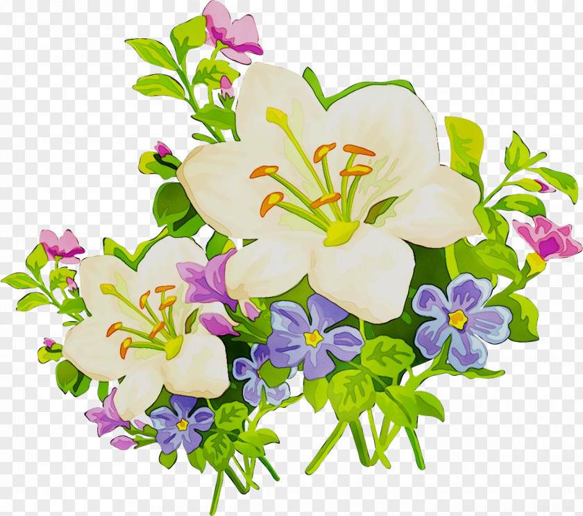 Easter Lily Clip Art Arum-lily Jersey Tiger PNG