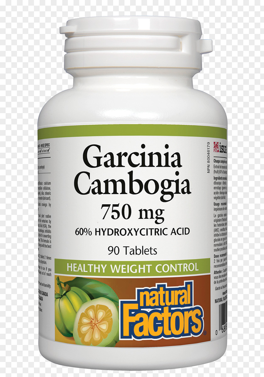 Health Garcinia Gummi-gutta Dietary Supplement Hydroxycitric Acid Nutrient PNG