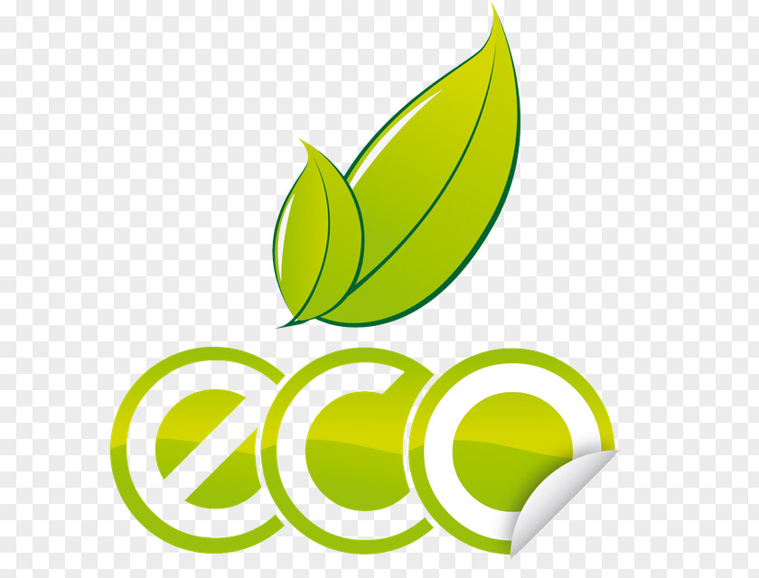 Natural Environment Logo Recycling Environmentally Friendly Product PNG