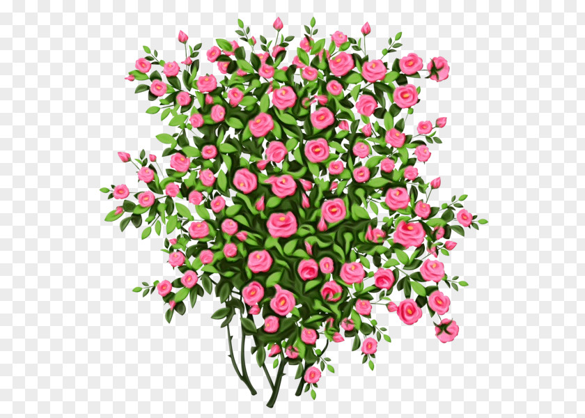 Pink Family Perennial Plant Bouquet Of Flowers Drawing PNG