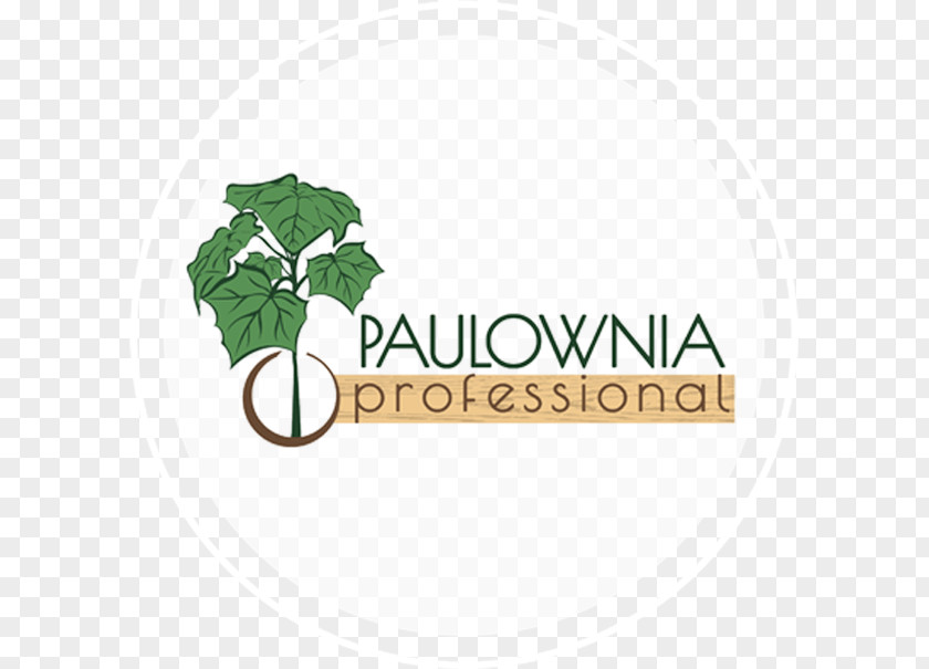 Professional Announcement Banner Empress Tree Logo Paulownia Product Seed PNG