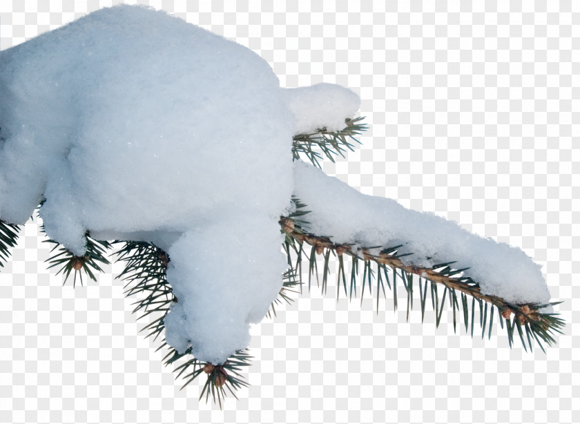 Thick Snow Clip Art PNG