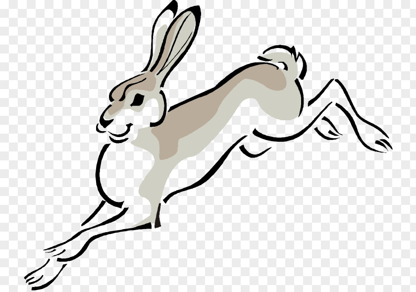Arctic Hare Cliparts European Cottontail Rabbit Clip Art PNG