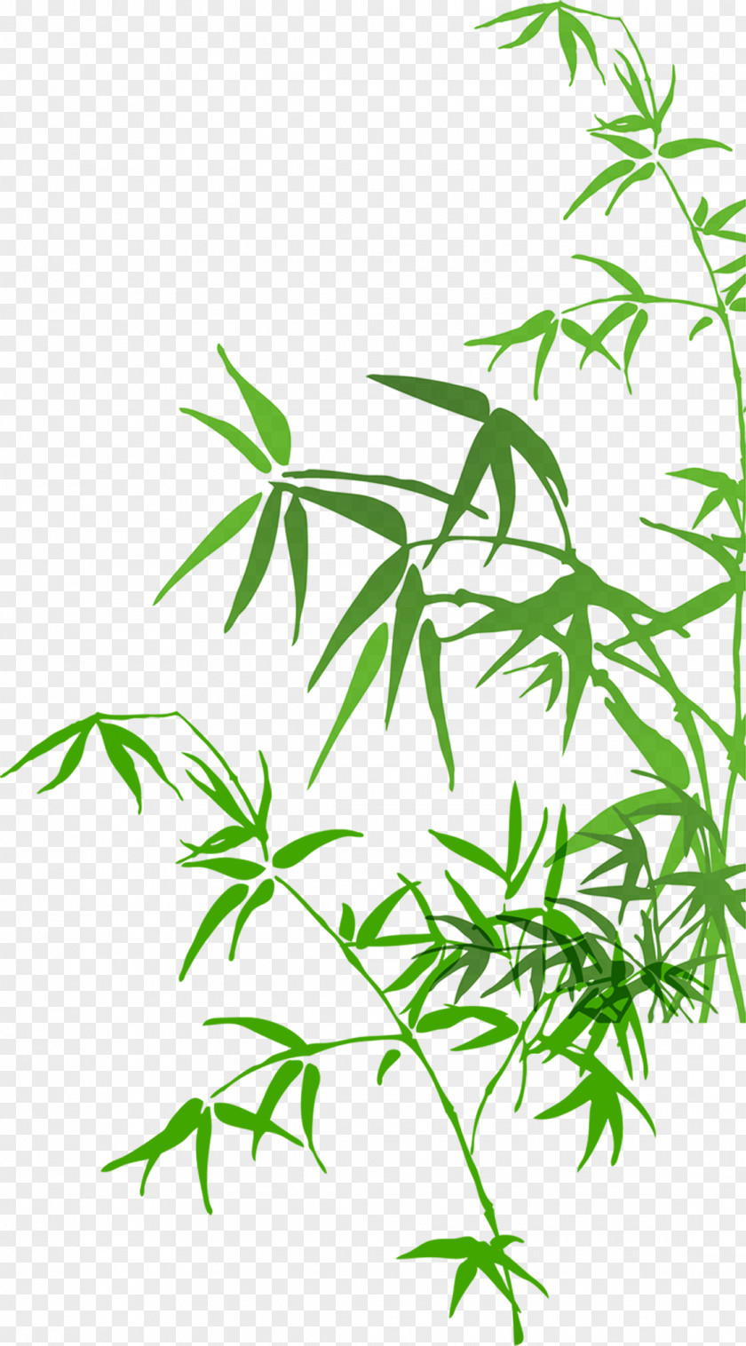 Bamboo Watercolor Painting PNG