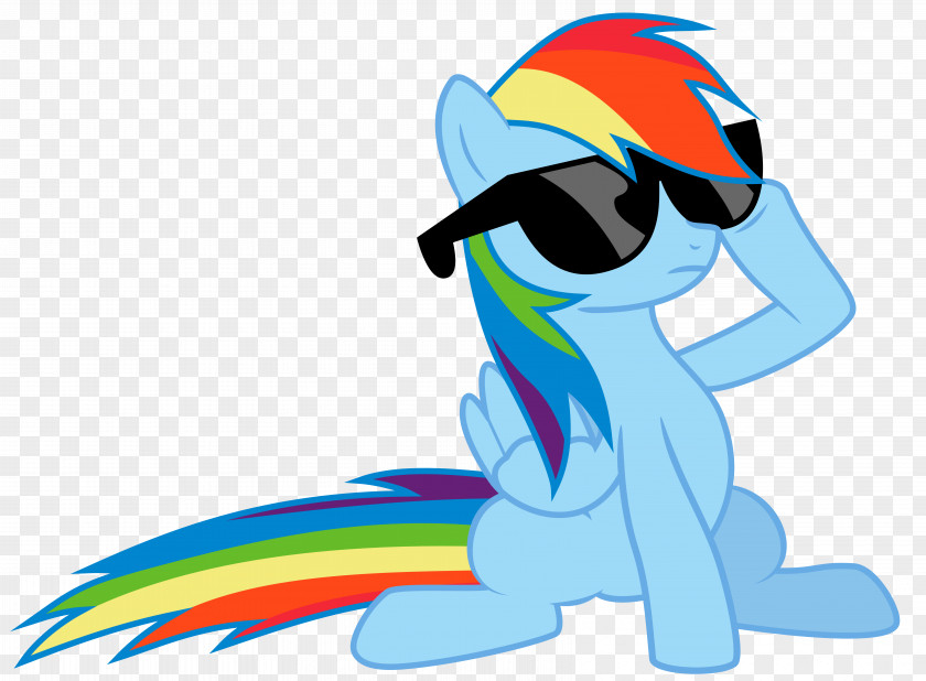 Deal With It Rainbow Dash Pinkie Pie Rarity Twilight Sparkle Applejack PNG