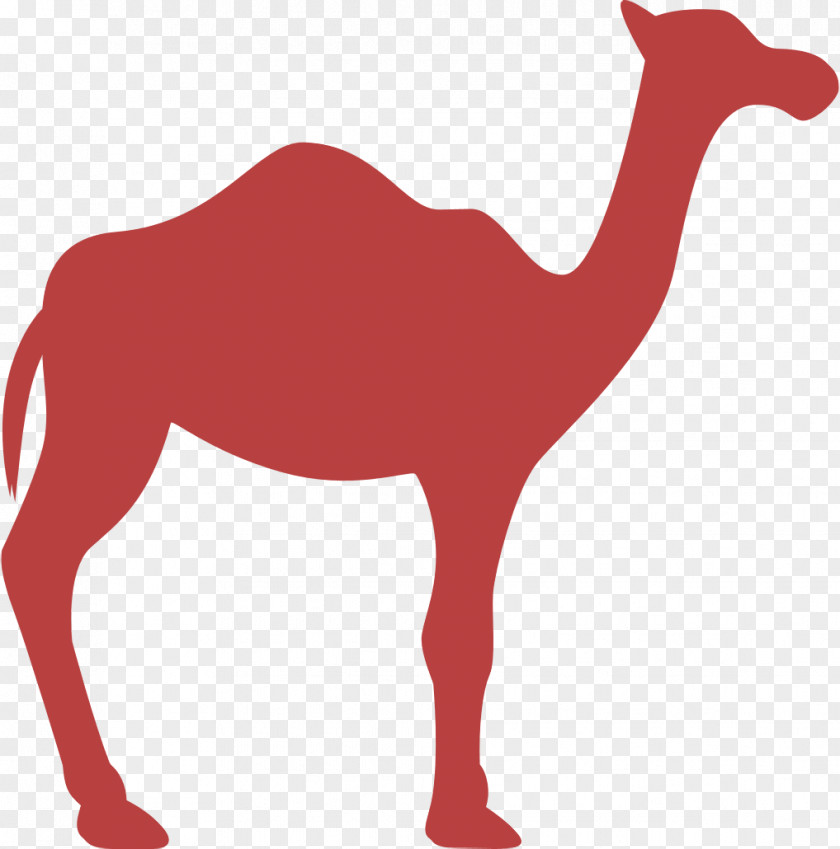 Dromedary Facing Right Icon Animal Silhouettes Animals PNG
