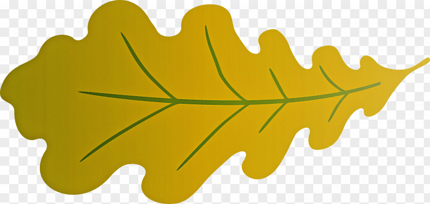 Oak Leaf PNG