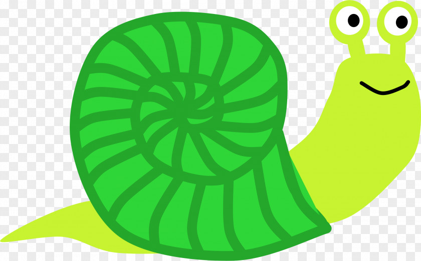 Snail Sea Clip Art PNG